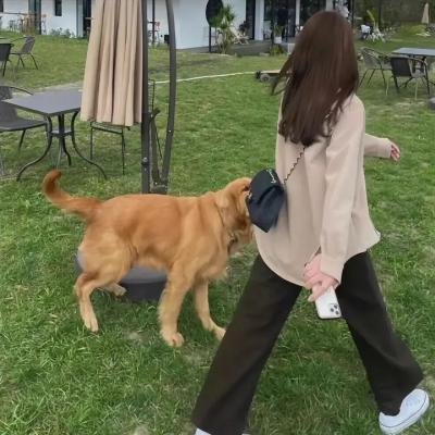 加菲猫的幸福生活第一季